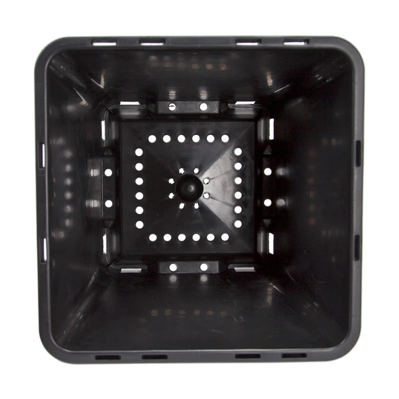 Blueberry Pot (14" Sq) 2 Blueberry Pot (14" Sq) - Image 2