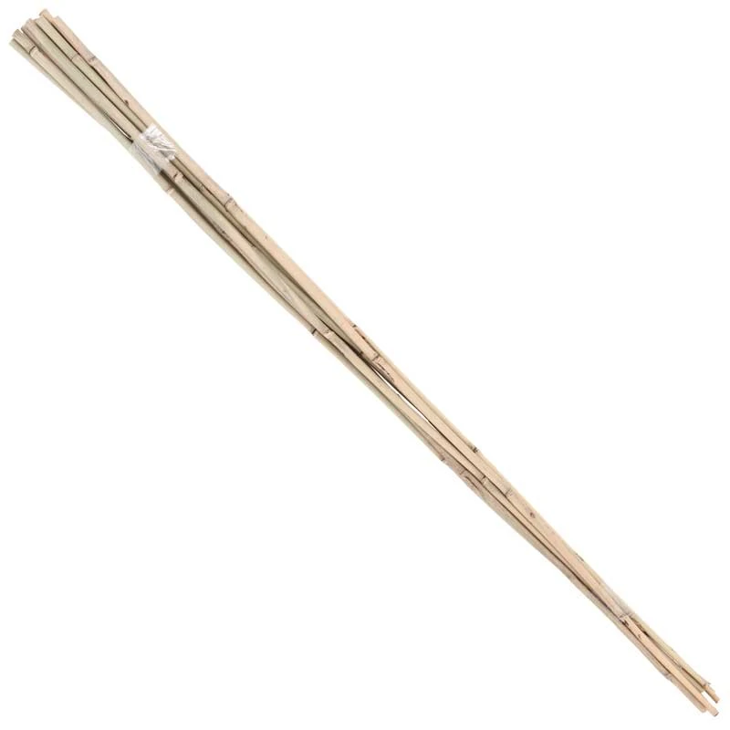 Bamboo Stakes - 10' (Pack Of 10) 2 Bamboo Stakes - 10' (Pack Of 10) - Image 2