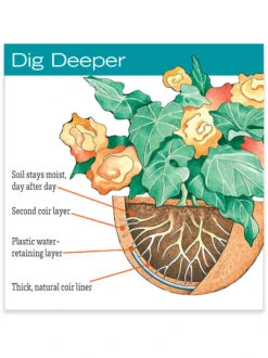 AquaSav™ Replacement Liners, Set Of 3 -Garden Tools Sales Store hiw 38 583