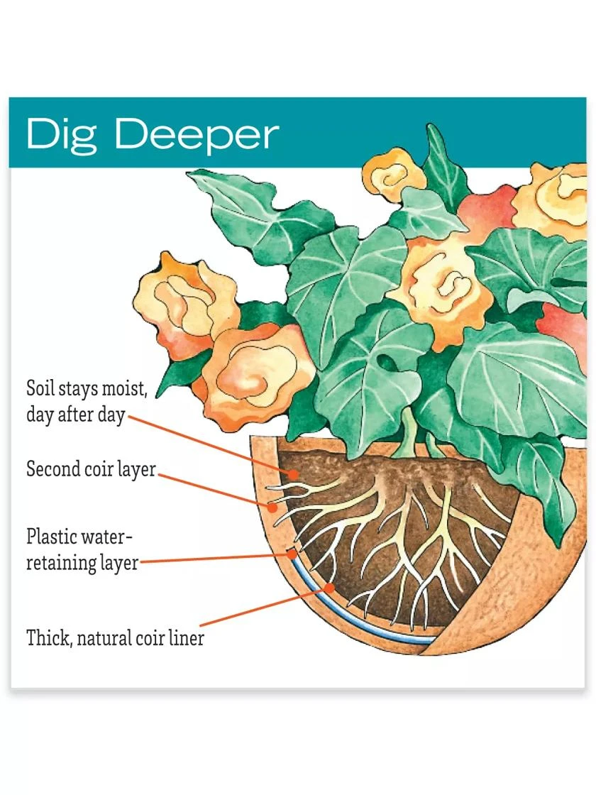 AquaSav™ Oxford Hanging Basket, 18" 2 AquaSav™ Oxford Hanging Basket, 18" - Image 2