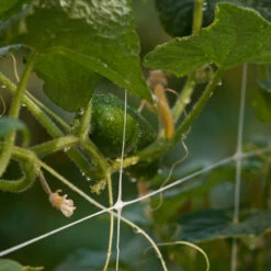 Hortonova Trellis (4' X 3280' Roll) -Garden Tools Sales Store hortinova b 10