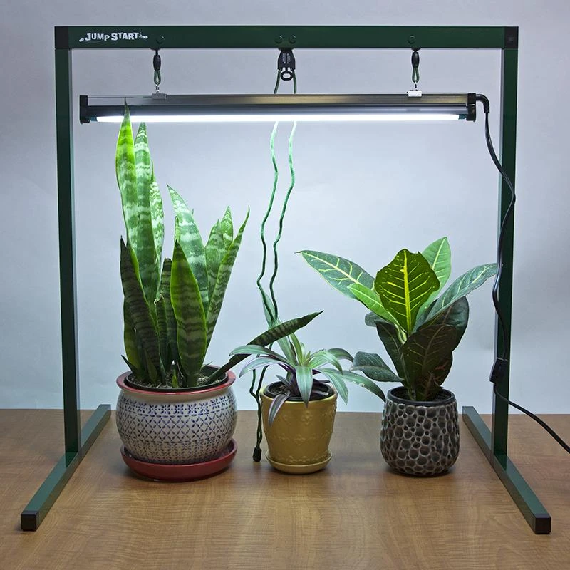 Jump Start 2-Foot Light System With One Lamp 1 Jump Start 2-Foot Light System With One Lamp